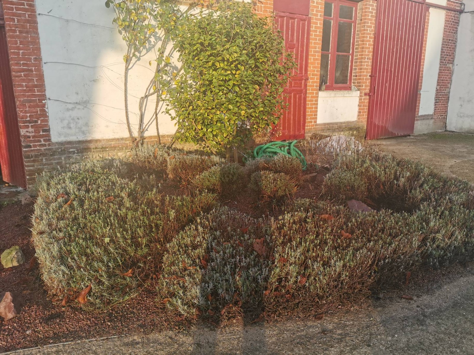 Paysagiste pour le nettoyage de massif et taille d'arbustes pour particuliers proche Fécamp