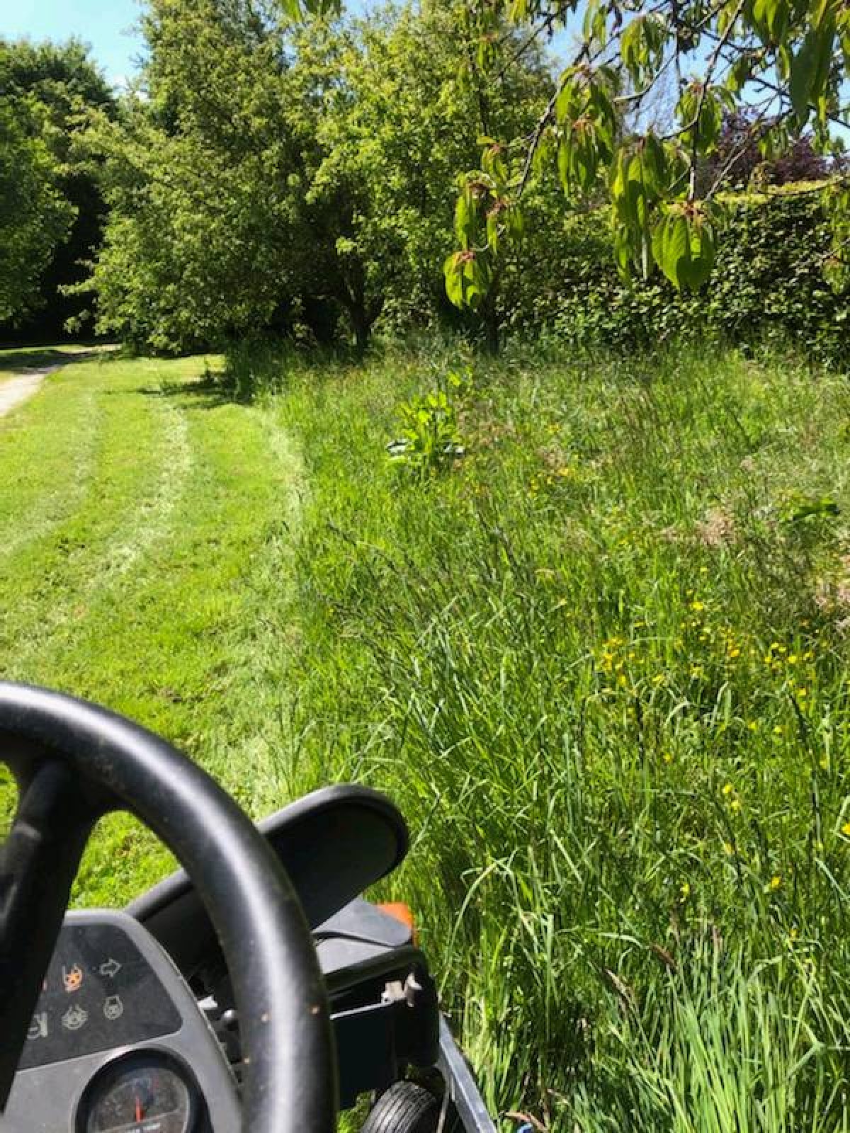 Entretien de jardin avec crédit d'impôt secteur Fécamp 76