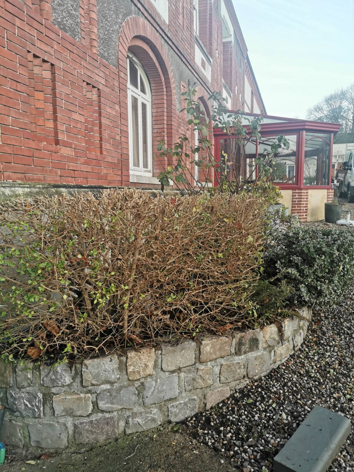 Entretien d'un massif et taille des arbustes avec crédit d'impôt proche Cany Barville