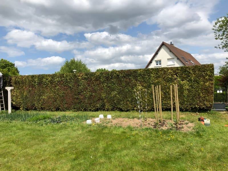 Devis par un paysagiste pour la taille de haies proche Cany Barville