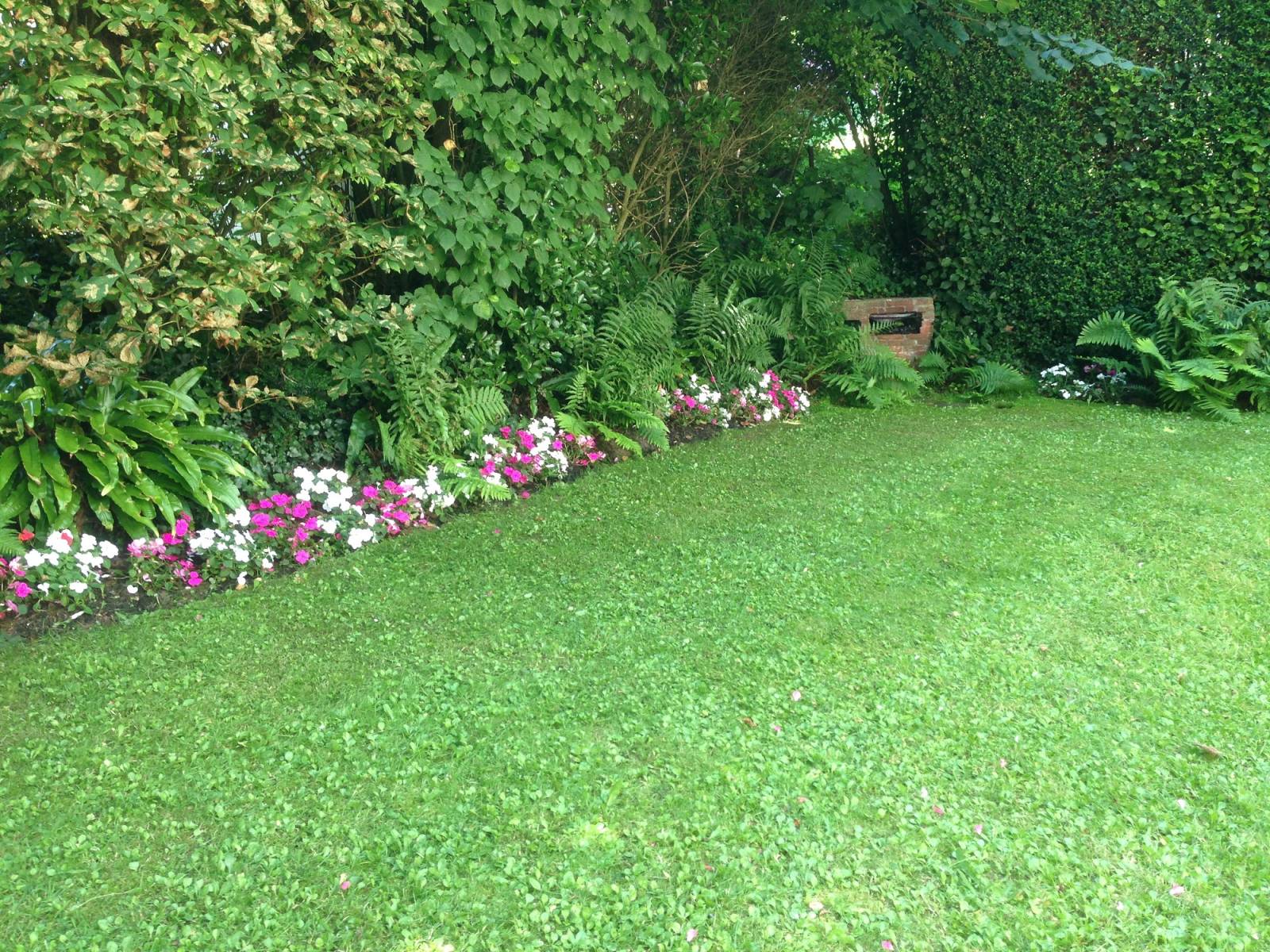 Devis pour le nettoyage d'un petit terrain par un paysagiste proche Montivilliers