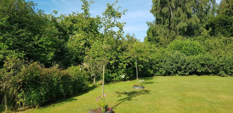 Paysagiste pour la taille d'arbres fruitiers pour particulier proche Saint Valery en Caux