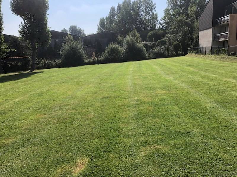 Tarif tonte de pelouse annuel à Valmont 76 : découvrez nos forfaits d'entretien régulier pour maintenir vos espaces verts impeccables toute l'année 2026.
